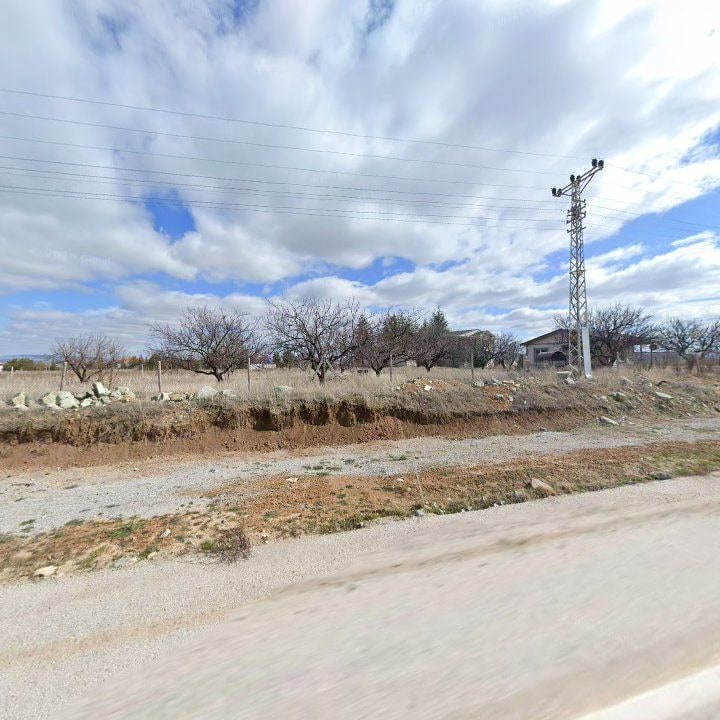 Fotoğraf 8