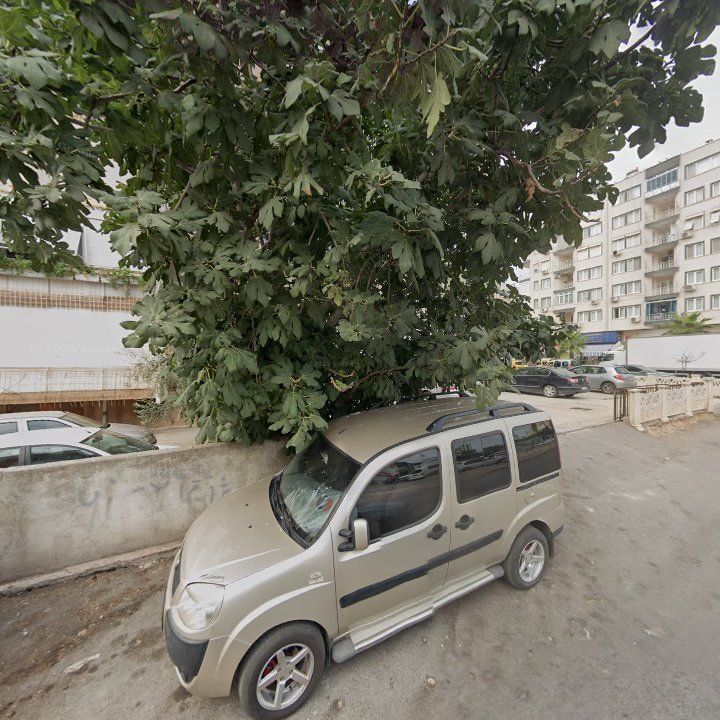 Fotoğraf 6