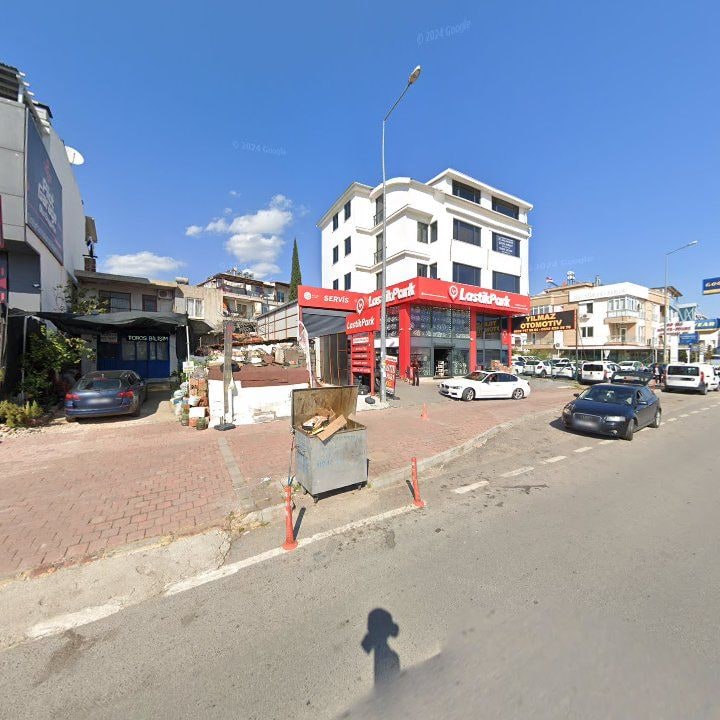 Fotoğraf 7
