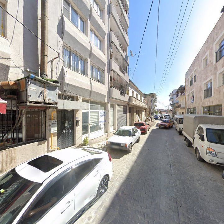 Fotoğraf 11