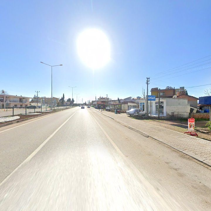 Fotoğraf 7