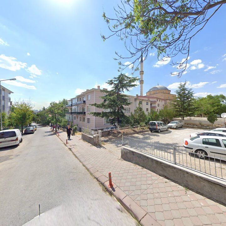 Fotoğraf 10