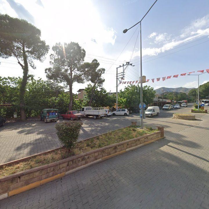 Fotoğraf 8