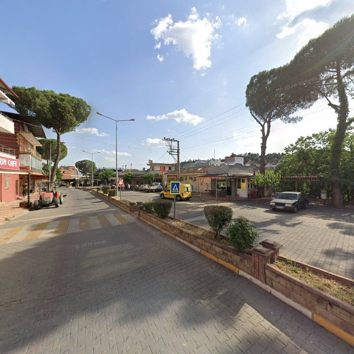 Fotoğraf 7