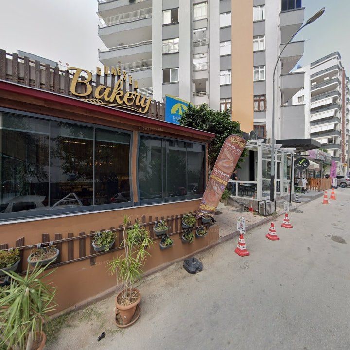 Fotoğraf 8