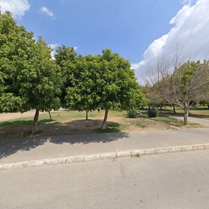 Fotoğraf 9