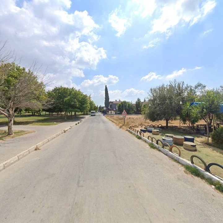 Fotoğraf 10