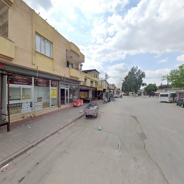 Fotoğraf 6