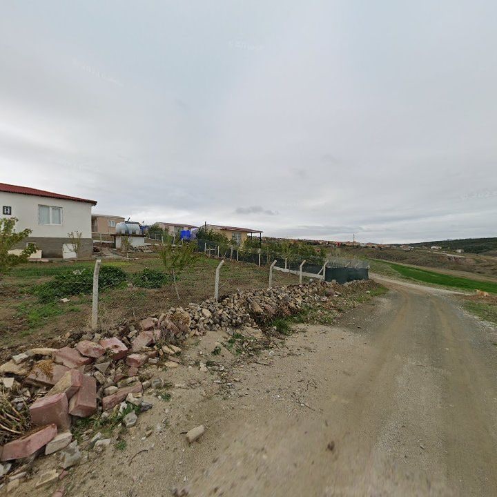 Fotoğraf 8