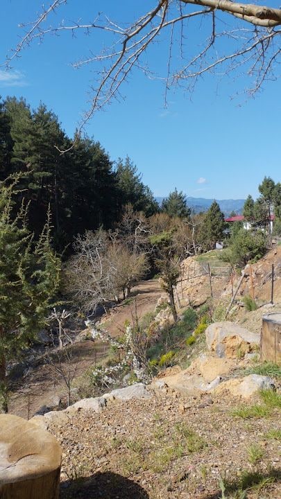 Güney Yaylası