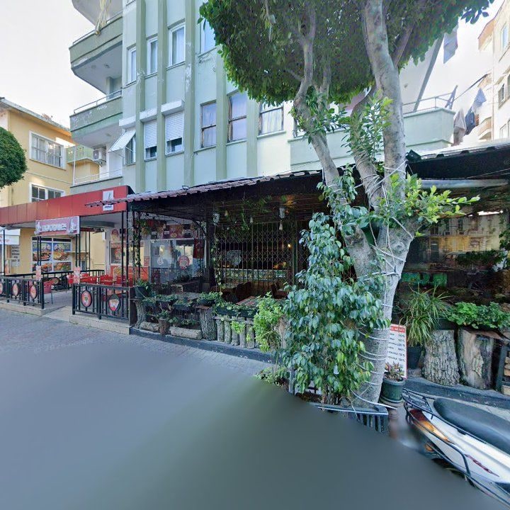 Fotoğraf 9