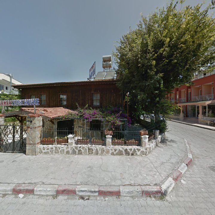 Fotoğraf 13