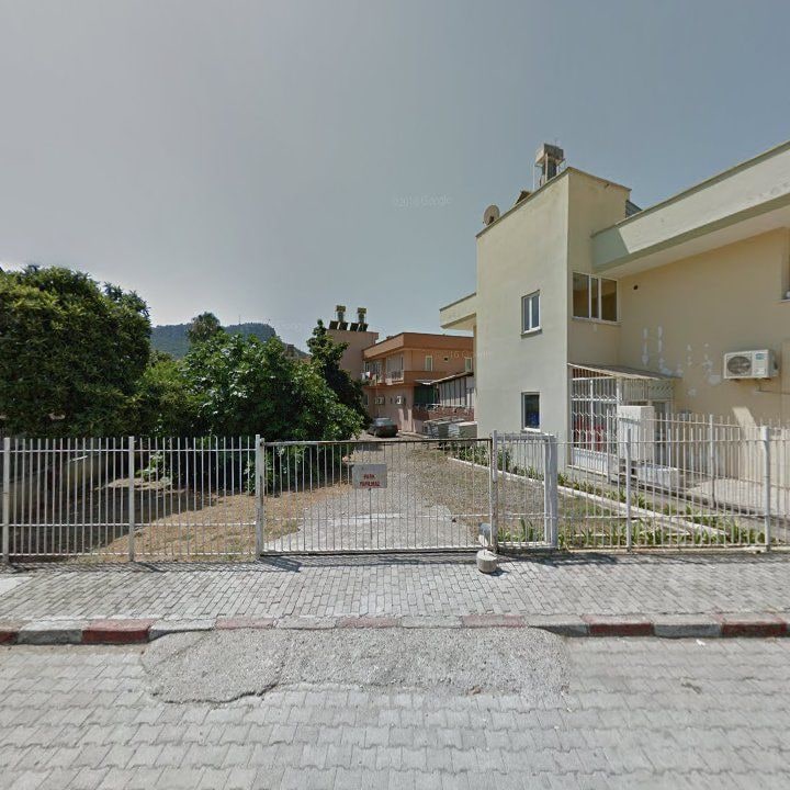 Fotoğraf 15