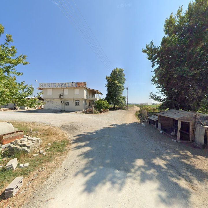 Fotoğraf 3