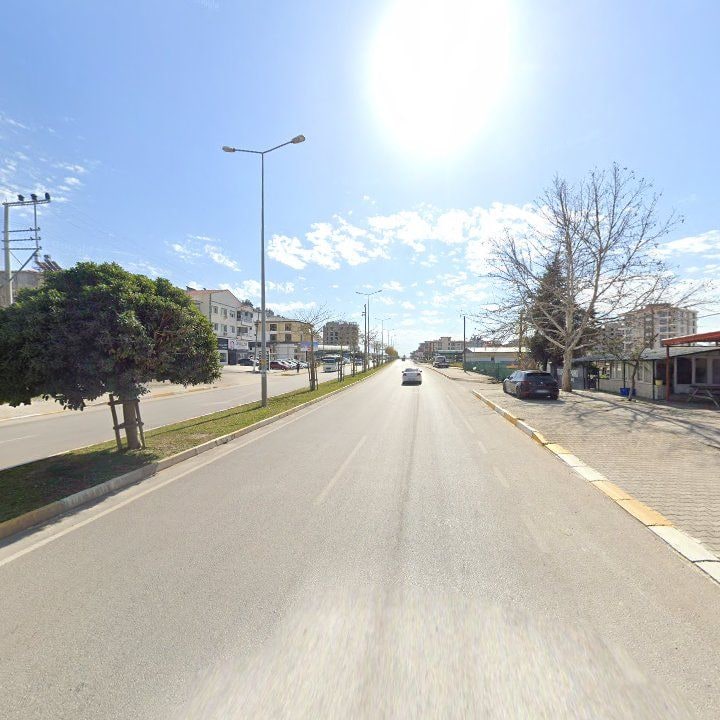 Fotoğraf 11