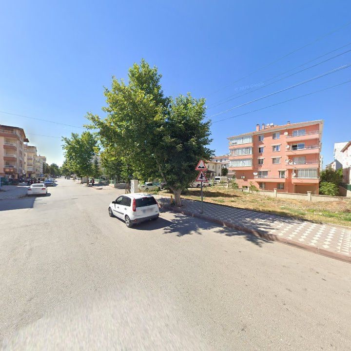 Fotoğraf 10