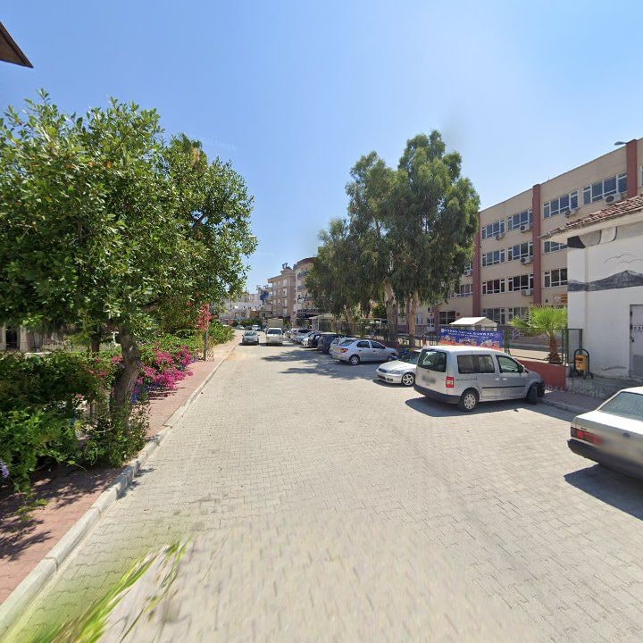 Fotoğraf 11