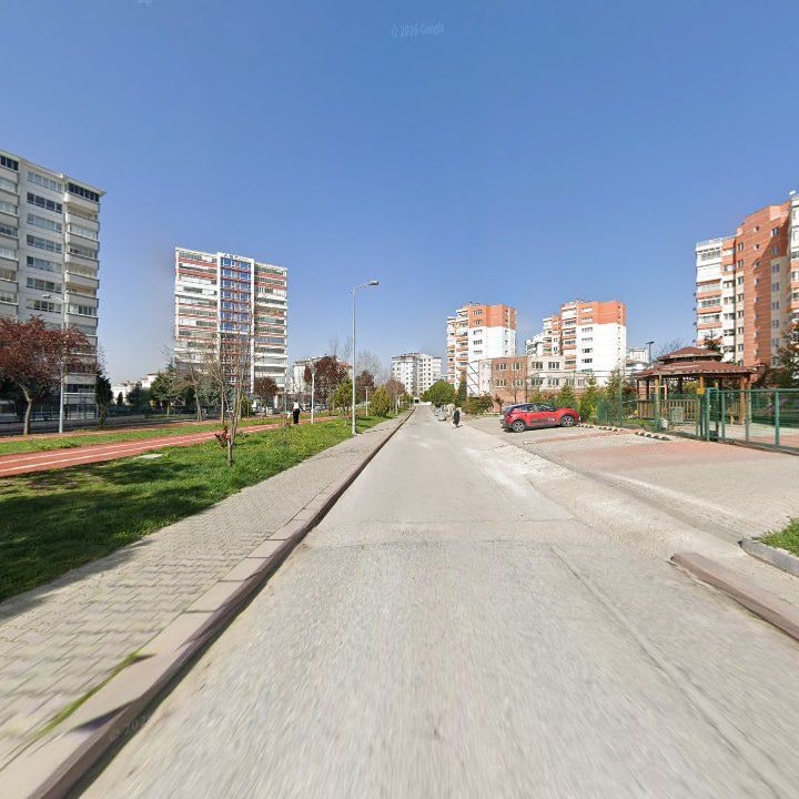 Fotoğraf 10