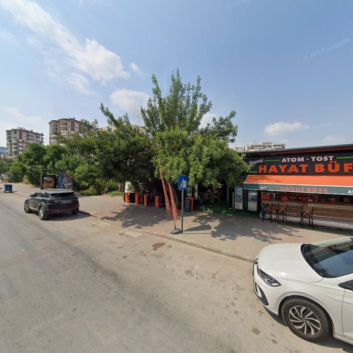 Fotoğraf 9