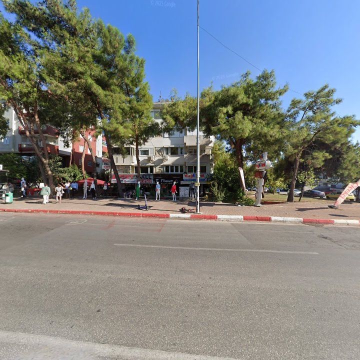 Fotoğraf 3