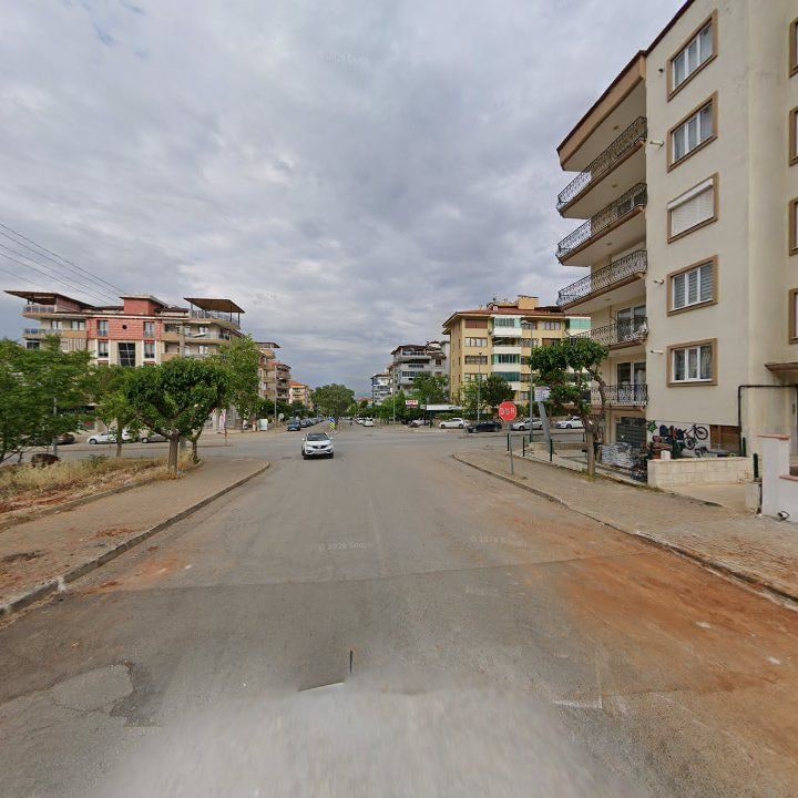 Fotoğraf 10