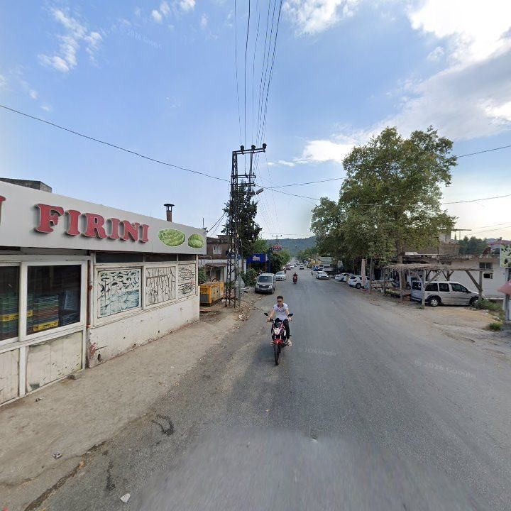 Fotoğraf 7