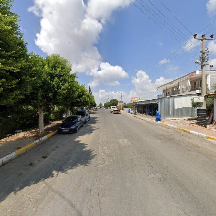 Fotoğraf 6