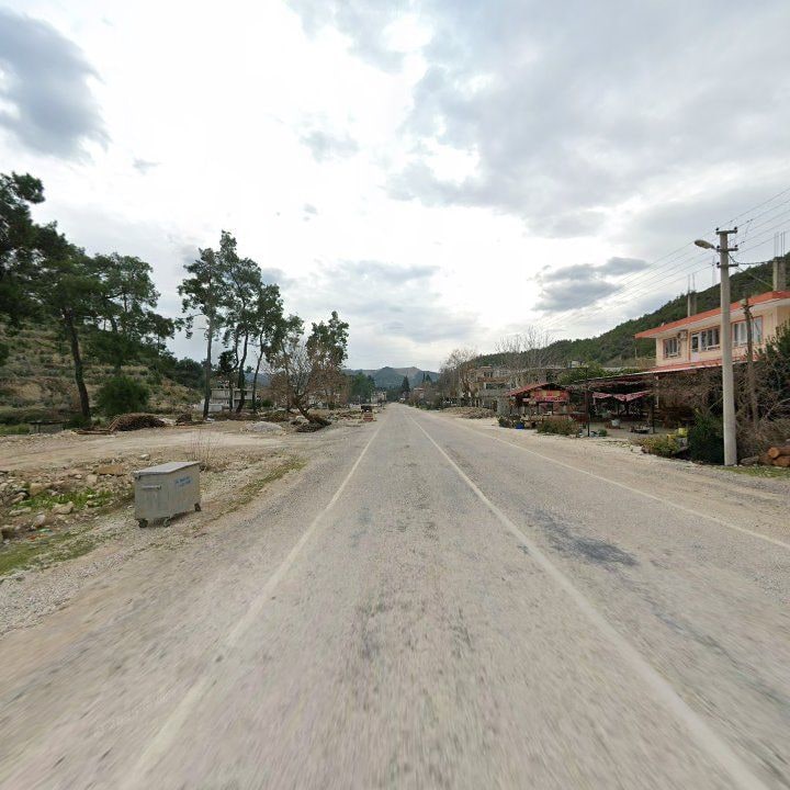 Fotoğraf 7