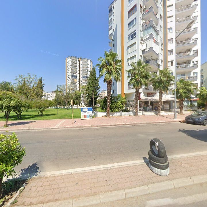 Fotoğraf 10