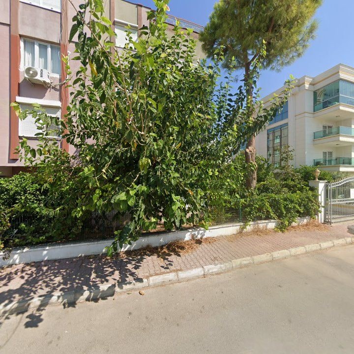 Fotoğraf 7