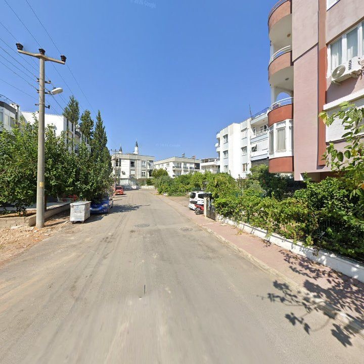 Fotoğraf 6