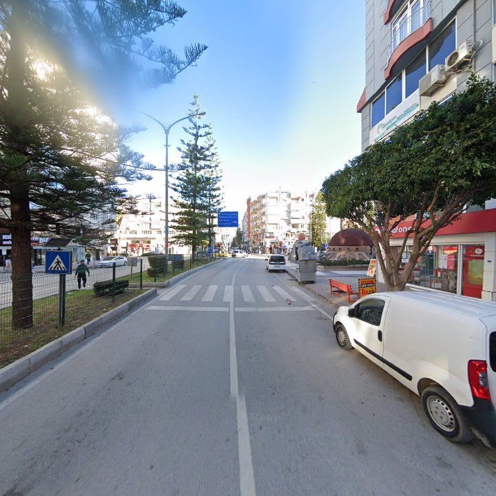 Fotoğraf 11