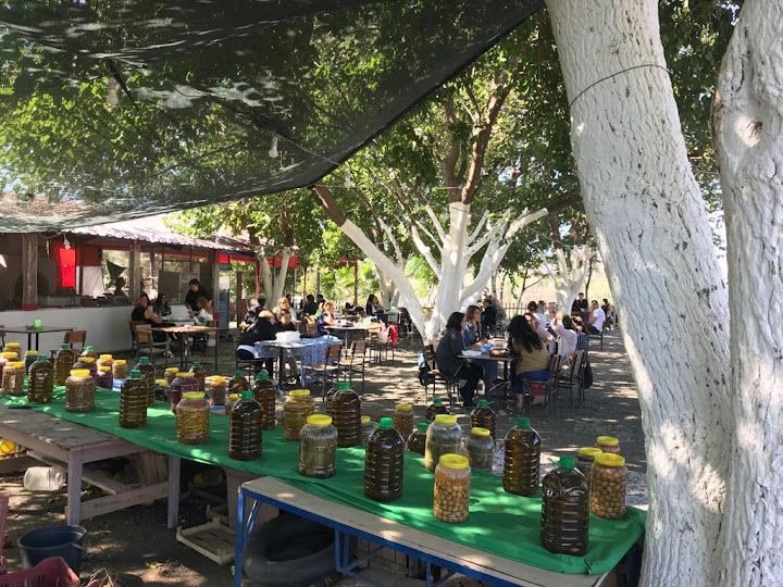 Habeş Aile Çay Bahçesi
