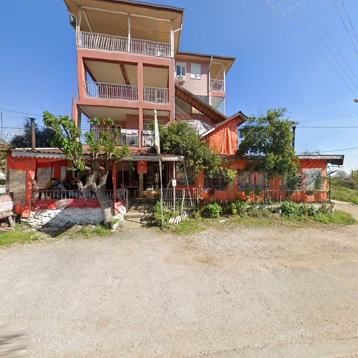 Fotoğraf 8