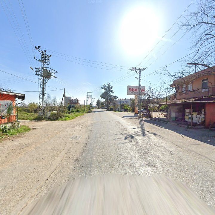 Fotoğraf 9