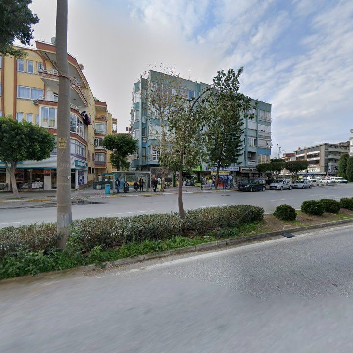 Fotoğraf 8