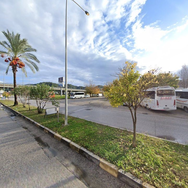 Fotoğraf 8
