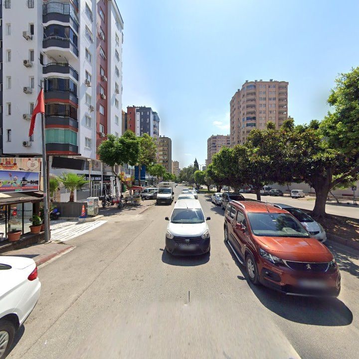Fotoğraf 7