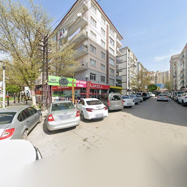 Fotoğraf 9