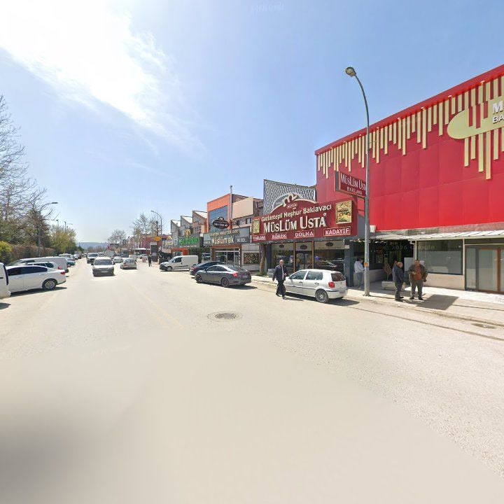 Fotoğraf 12