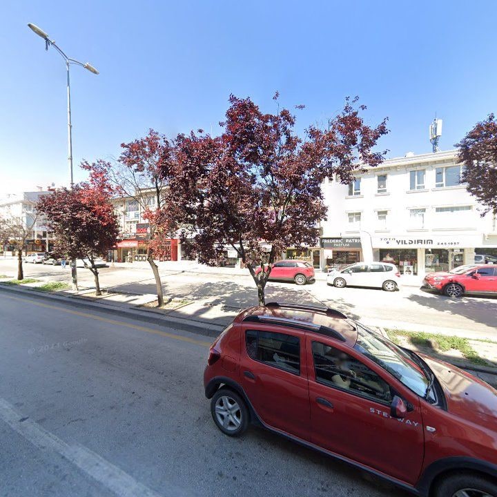 Fotoğraf 9