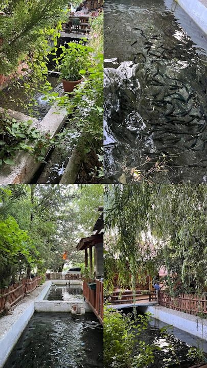 Hacı'nın yeri