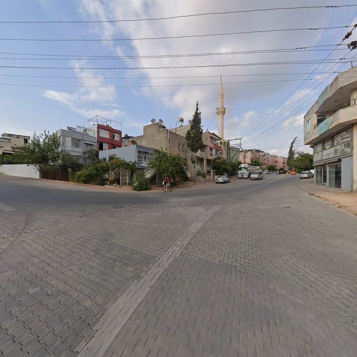 Fotoğraf 5