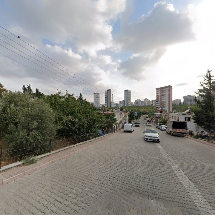 Fotoğraf 7