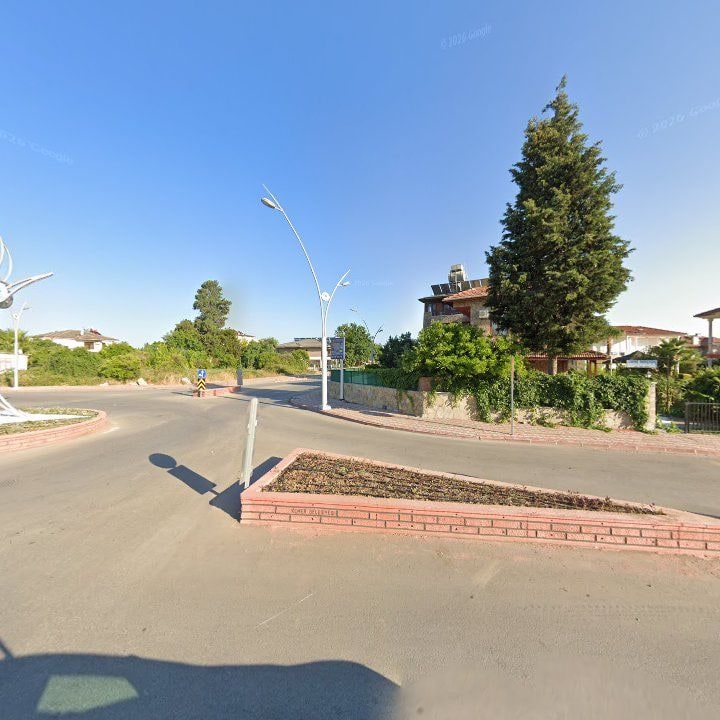 Fotoğraf 11