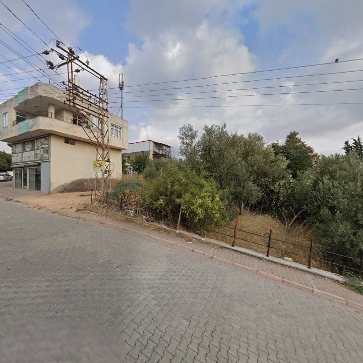 Fotoğraf 6