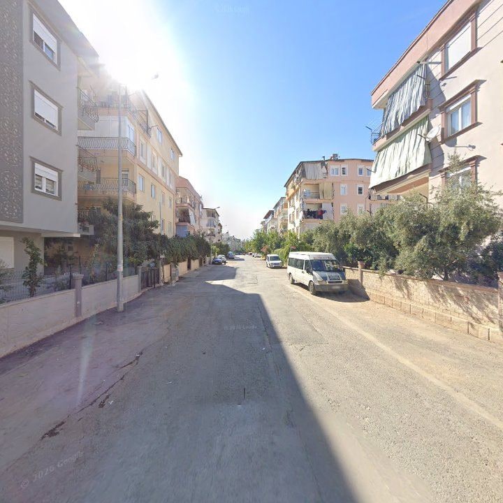 Fotoğraf 7