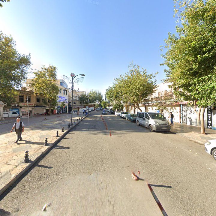 Fotoğraf 12