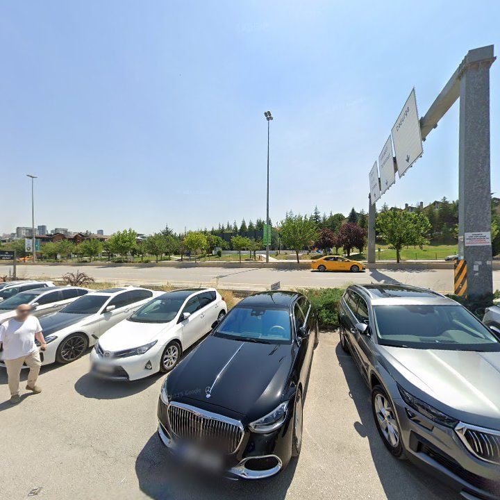 Fotoğraf 12