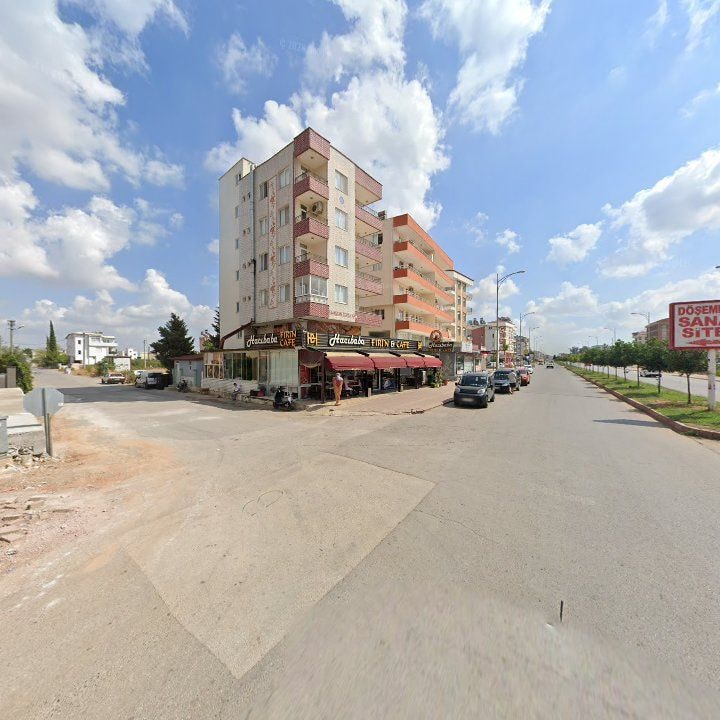 Fotoğraf 7